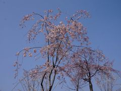-堤角公园