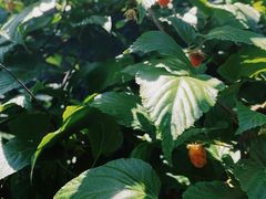 -宝界山林公园
