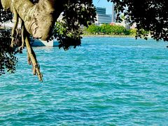 -苏小糖(鼓浪屿三丘田花园店)