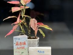 -鹿港小镇(黄金店)