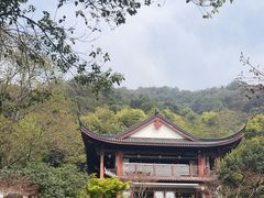 -十八棵（老龙井）御茶园(老龙井店)