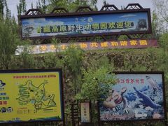 -青藏高原野生动物园