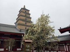 -大慈恩寺(大雁塔)