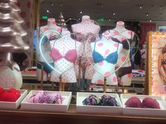 -Victoria's Secret(苏州中心全品类店)