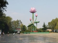 -微山湖红荷湿地景区