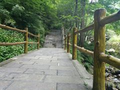 -牛背梁国家森林公园