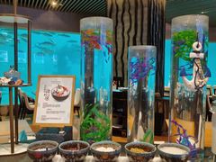 -涛·海底餐厅·美人鱼·自助餐·海底隧道(三亚海棠湾洲际度假酒店)