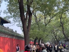 -北京国子监胡同