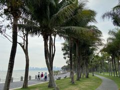 -深圳湾公园(南山区)