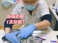 -瑞派天宁宠物医院·猫科·异宠中心