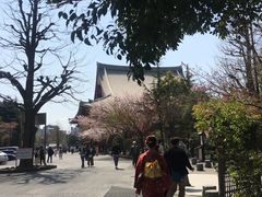 -东京浅草和服体验江户和装工房雅(浅草本店)