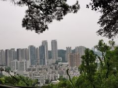 -板樟山森林公园