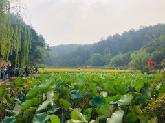 -韶山毛泽东同志故居