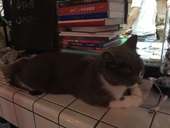 -MIKAKU(万达广场上海宝山店)