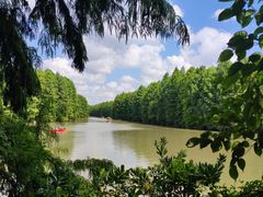 -上海海湾国家森林公园