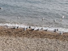 -星海广场