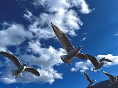 -丽江泸沽湖景区