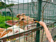 -宁波九龙湖开元度假村