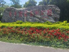 -东平国家森林公园