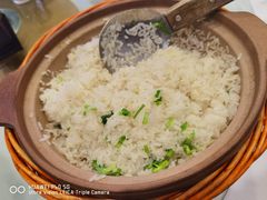 -饭怕鱼(阳光100店)