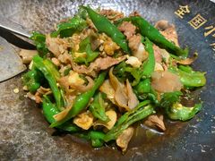 -费大厨辣椒炒肉(正佳广场店)