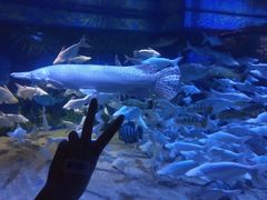 -成都浩海立方海洋公园