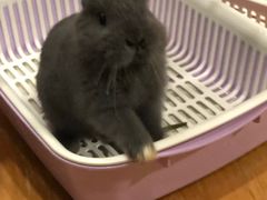 -藦茜花园宠物主题亲子互动体验馆(国顺东路店)