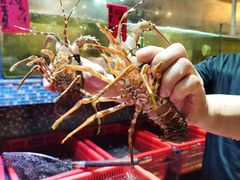 -巽寮印象美食部落餐厅·海鲜·地方特色菜(惠州体验店)