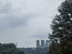 -重庆彩云湖湿地公园