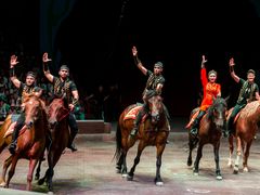 -俄罗斯国家大马戏团