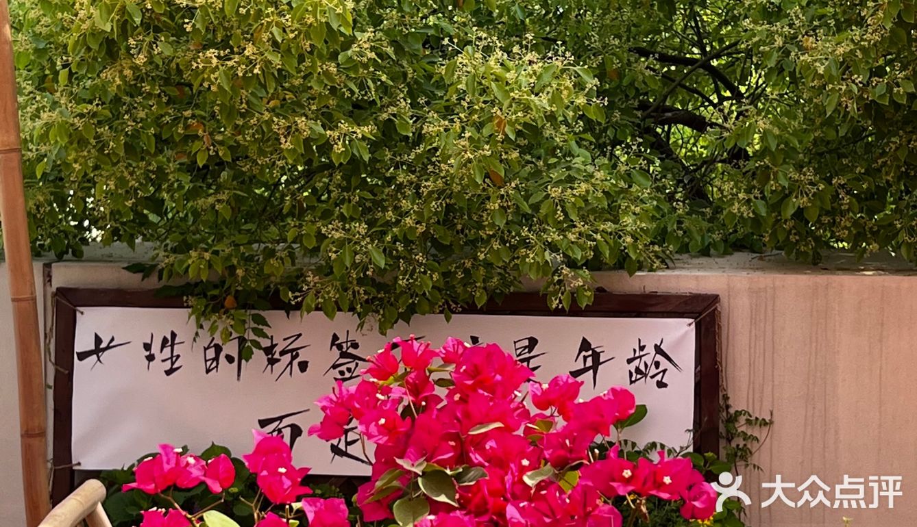 隐匿在郑州北边的“梦华录”下午茶