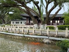 -江心屿景区
