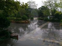 -巢湖姥山岛