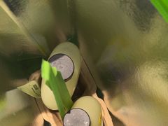 -奈雪的茶(亨特国际广场店)