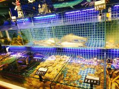 -必点海鲜·鲅鱼水饺(鞍山西道店)