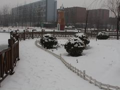 -张店儿童公园