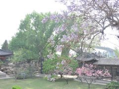 -碑林公园
