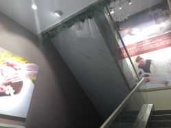 -佐登妮丝美容SPA生活馆