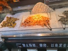 -圣罗巴海鲜烤肉自助(佳兆业店)