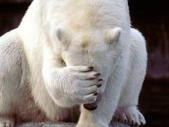 -法莱索尔(奥莱店)