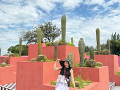 -漳州滨海火山岛自然生态风景区