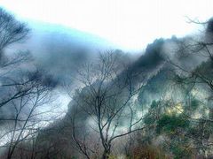 -王顺山国家森林公园