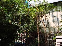 -豆舞咖啡(民乐路店)