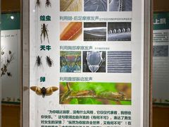 -沈阳鸟岛