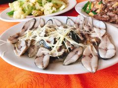 蒸马鲛鱼-联兴酒家