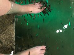 -宝丽金大酒店·洗浴中心