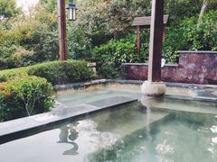 -天目湖涵田半山温泉