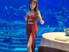 -亚特兰蒂斯•OSSIANO奥西亚诺海底餐厅