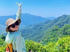 -素山寺森林公园