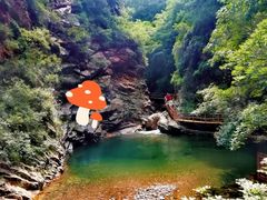 景点-九龙潭景区